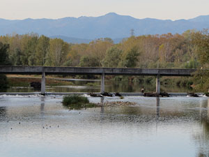 Ponts de Girona. La passera de Fontajau