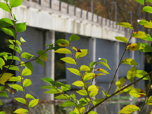 Ponts de Girona. La passera de Fontajau