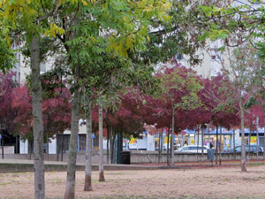 Plaça de l'U d'octubre de 2017