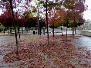 Plaça de l'U d'octubre de 2017