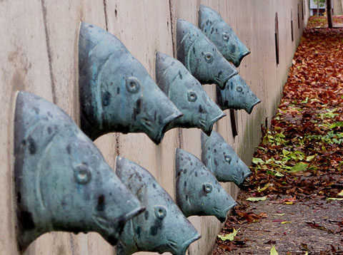 Caps de carpes de l'Onyar, en bronze, al mur de la part de la Gran Via de Jaume I