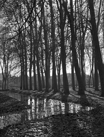 El parc de la Devesa. En primer terme part del rec que voreja els jardins de la reina Victòria. Al fons el pont del carrer Cerverí, al seu emplaçament original, al final de la ronda Ferran Puig. 1947