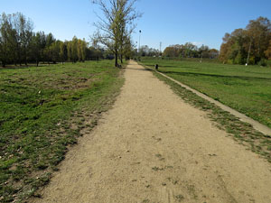 Parcs i jardins de Girona. Parc de les Ribes del Ter