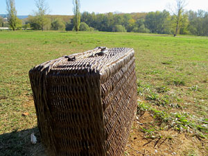 Parcs i jardins de Girona. Parc de les Ribes del Ter