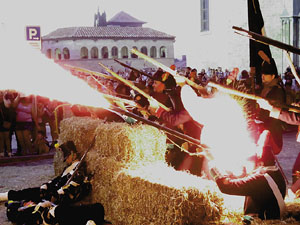 VII Festa Reviu els Setges Napole&ograve;nics de Girona