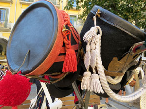 VII Festa Reviu els Setges Napole&ograve;nics de Girona