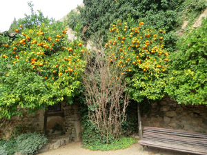 Jardins i Parcs de la ciutat. Jardí de l'Àngel
