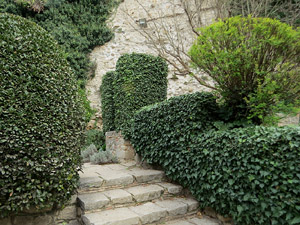 Jardins i Parcs de la ciutat. Jardí de l'Àngel