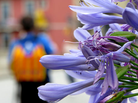 Travessa per la llibertat. Arribada de Jordi Turull a Girona