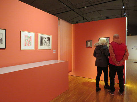 Detall d'un dels &agrave;mbits de l'exposici&oacute;