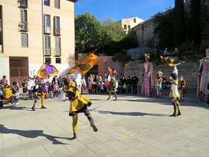 Fires de Sant Narc&iacute;s 2021. Toc de rams. Cerim&ograve;nia del canvi de rams de les gegantes