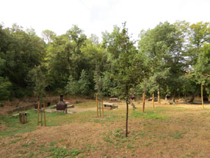 Les fonts de Sant Daniel. La font de la Pinya