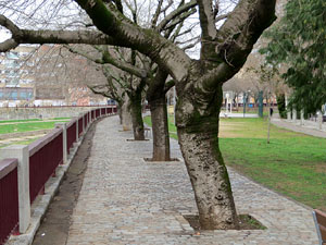 Jardins i Parcs de la ciutat. Els Jardins del carrer del Carme