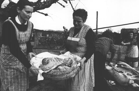 La matan&ccedil;a del Porc. 1983