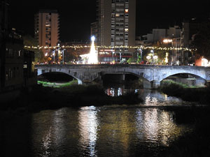 Nadal 2021. Els llums de Nadal