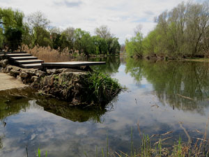 Jardins de Pedret. Observacions naturalistes