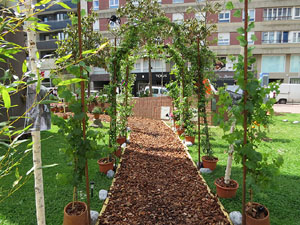 Temps de Flors 2021. Plaça Miquel Santaló