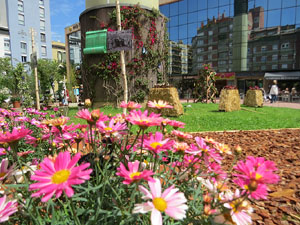 Temps de Flors 2021. Plaça Miquel Santaló