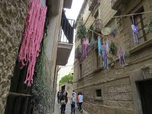 Temps de Flors 2021. El carrer dels Alemanys