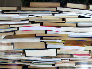 Temps de Flors 2021. El carrer dels Alemanys