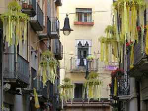 Temps de Flors 2021. Carrer Argenteria