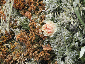 Temps de Flors 2021. Passeig Arqueològic. La majordoma de Sant Narcís