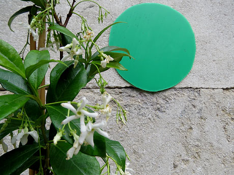 Temps de Flors 2021. Can Ninetes