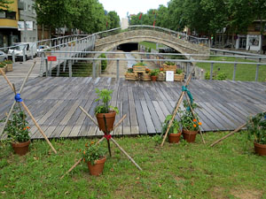 Temps de Flors 2021. El Pont del Dimoni
