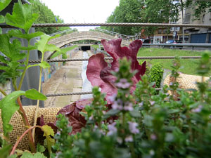 Temps de Flors 2021. El Pont del Dimoni