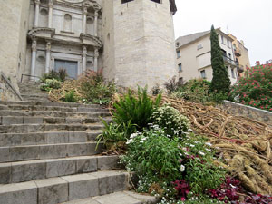 Temps de Flors 2021. Escales de la basílica de Sant Feliu