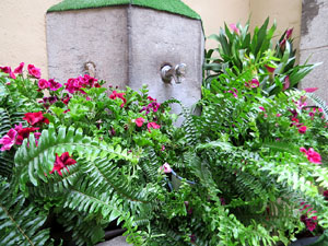 Temps de Flors 2021. Font del carrer Nou del Teatre