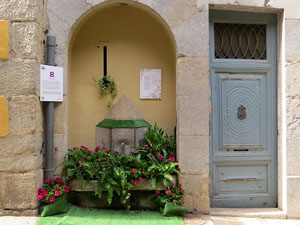Temps de Flors 2021. Font del carrer Nou del Teatre