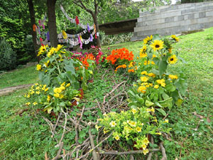 Temps de Flors 2021. Jardí de la Infància