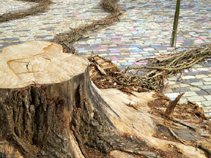 Temps de Flors 2021. Jardí de la Infància