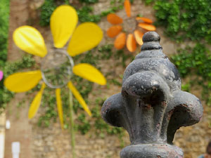 Temps de Flors 2021. Jardí de la Infància