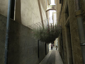 Temps de Flors 2021. Carrer de la Llebre