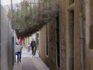 Temps de Flors 2021. Carrer de la Llebre