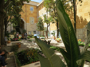 Temps de Flors 2021. El Pati de les Magn&ograve;lies