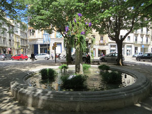 Temps de Flors 2021. Brollador de la plaça Marquès de Camps