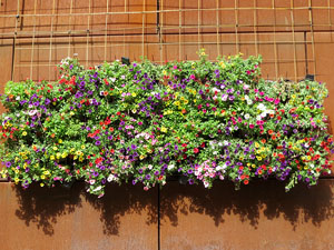 Temps de Flors 2021. La pla&ccedil;a del Pallol