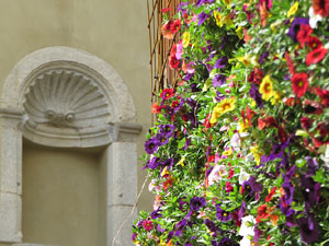 Temps de Flors 2021. La pla&ccedil;a del Pallol