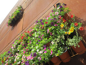 Temps de Flors 2021. La pla&ccedil;a del Pallol