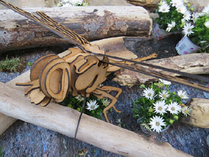 Temps de Flors 2021. Escales de la Mare de D&eacute;u de la Pera