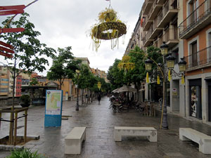Temps de Flors 2021. La Rambla de la Llibertat