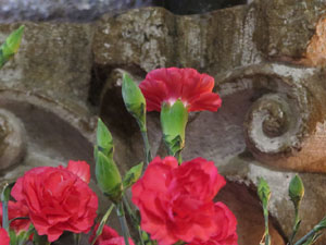 Temps de Flors 2021. La basílica de Sant Feliu