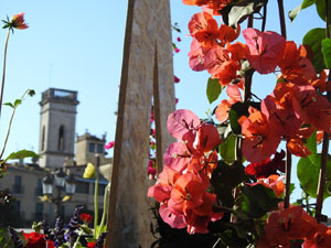 Temps de Flors 2021. Carrer de Santa Clara