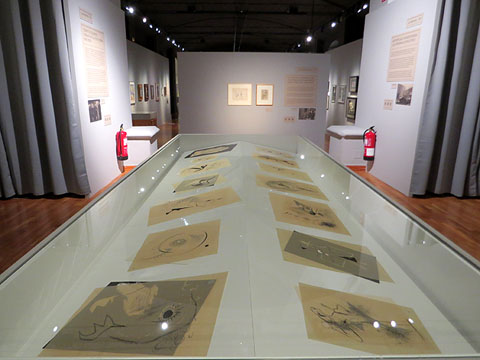 Una de les sales de l'exposici&oacute;