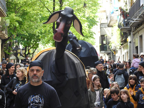 La Mula Petita i la Mula Baba de Girona