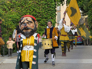 Fires de Sant Narc&iacute;s 2022. Toc de rams. Cerim&ograve;nia del canvi de rams de les gegantes
