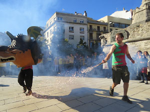 Fires de Sant Narcís 2022. XLI Trobada de Gegants i Bestiari